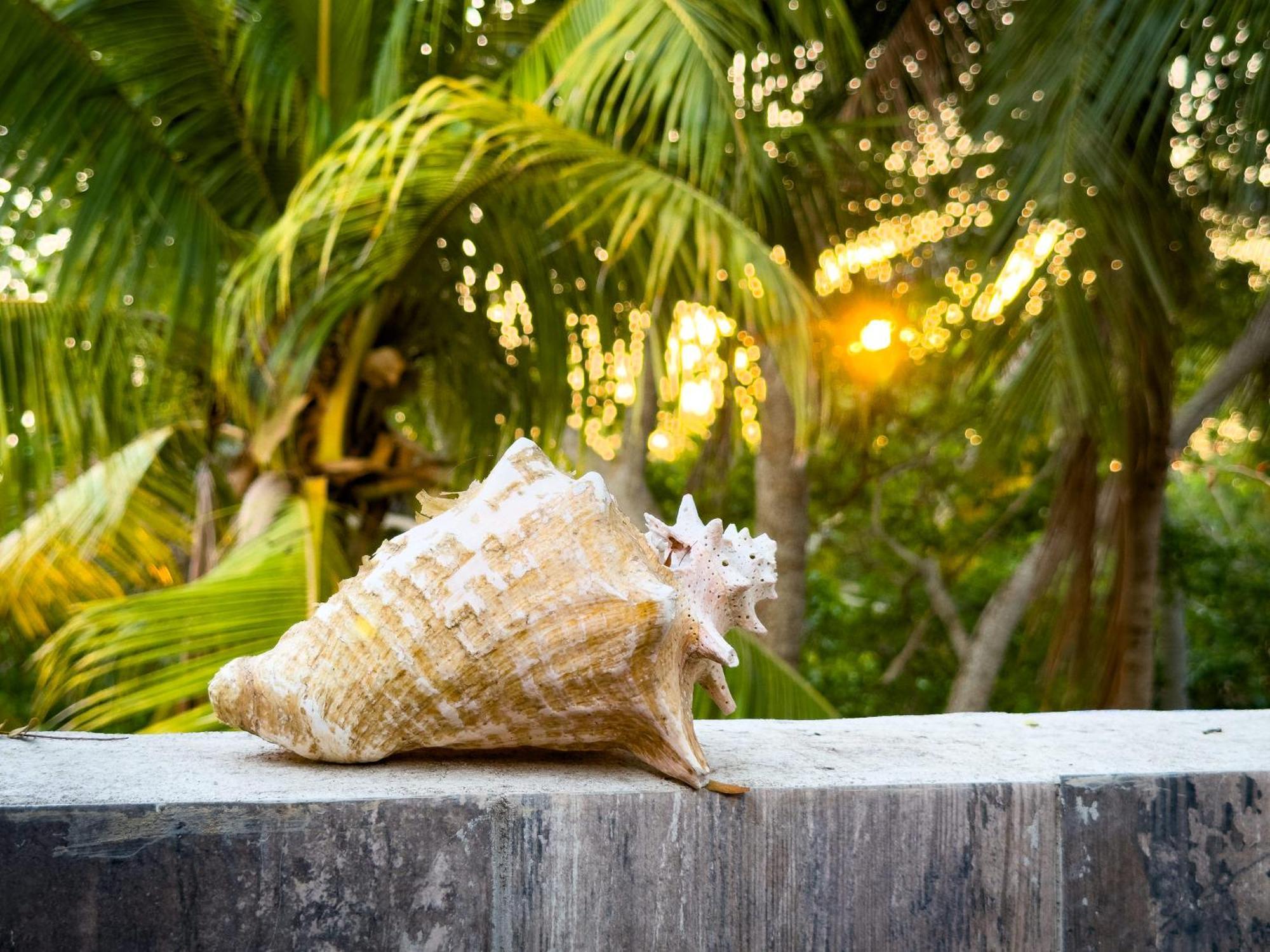 Hotel Playa Manglares Isla Baru Santa Ana  エクステリア 写真