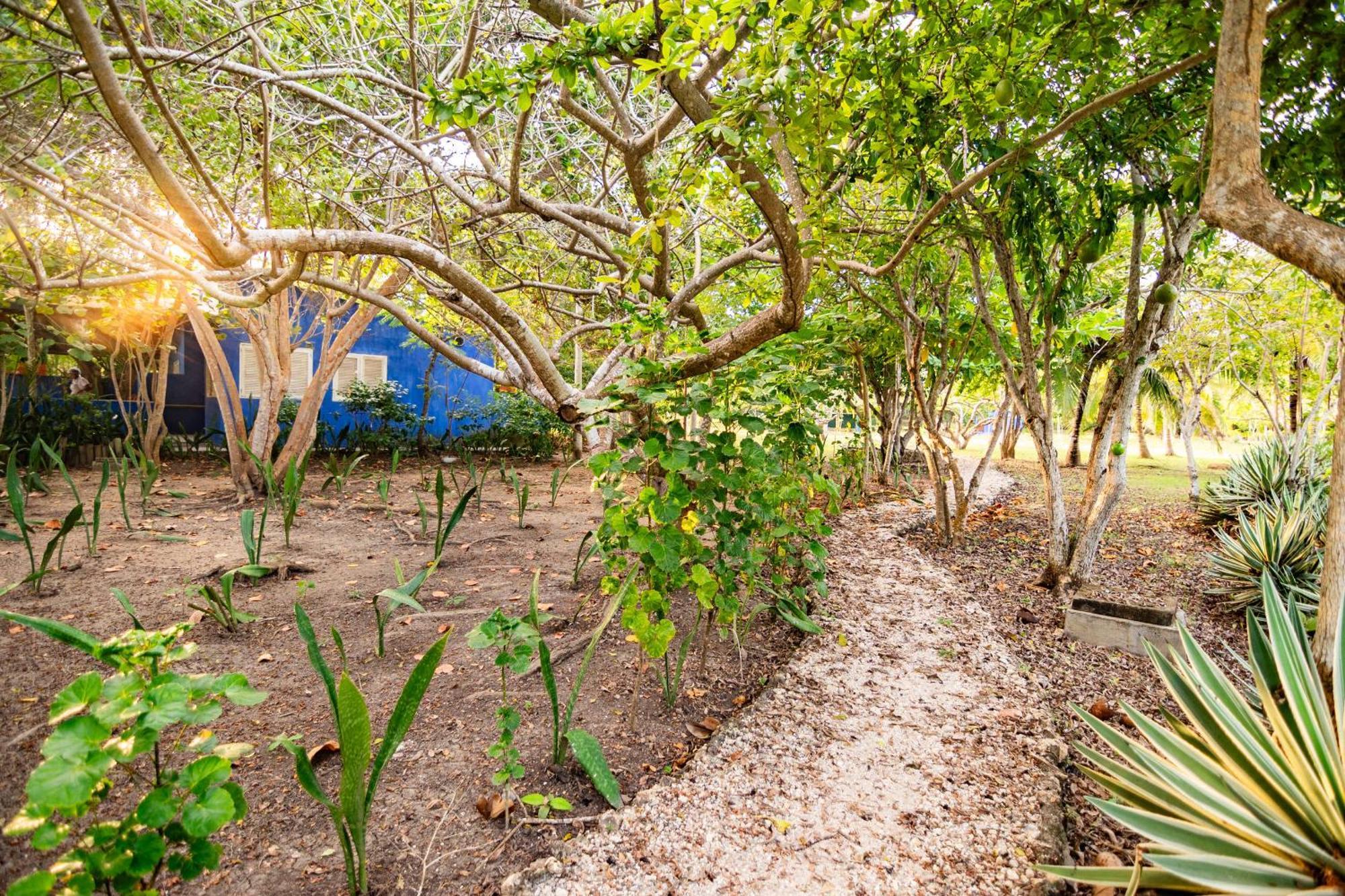 Hotel Playa Manglares Isla Baru Santa Ana  エクステリア 写真